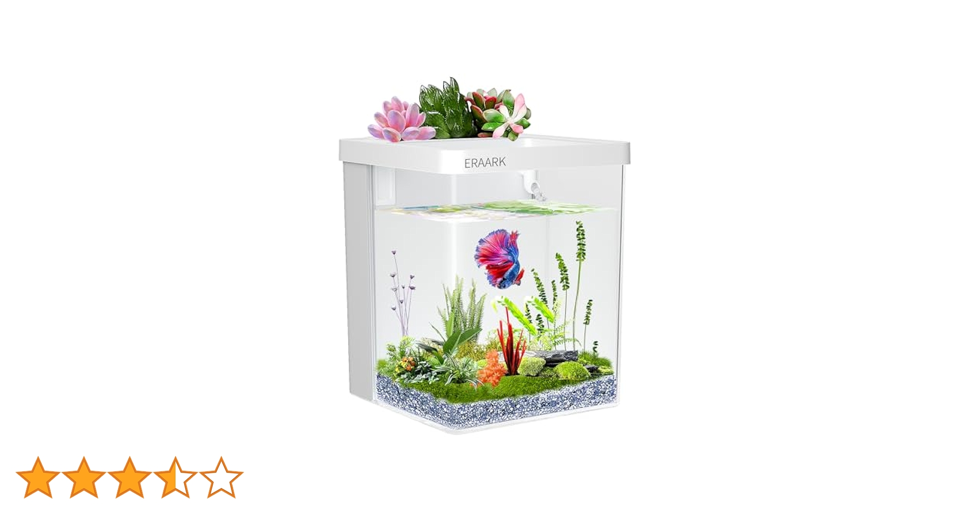 barom one ADA 60センチ水槽以外セット引退品 51fAgKpdvjL.jpg_BO30,255,255,